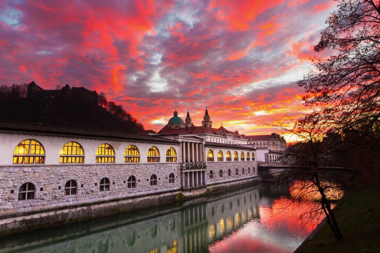 Studio Optim Ljubljana Bagian luar foto